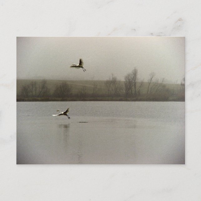 Postal Sueño (Anverso)