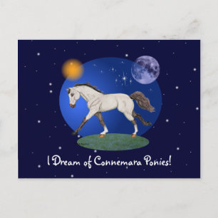 Postal Sueño con Connemara Ponies Notecard