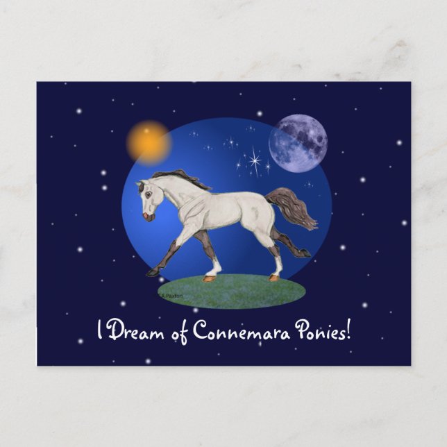 Postal Sueño con Connemara Ponies Notecard (Anverso)