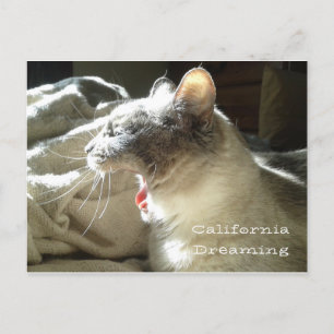Postal Sueño de California