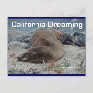 Postal Sueño de California (león marino) - Postcard