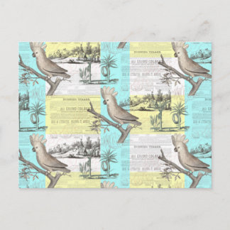 Postal Sueño de Cockatoo tropical