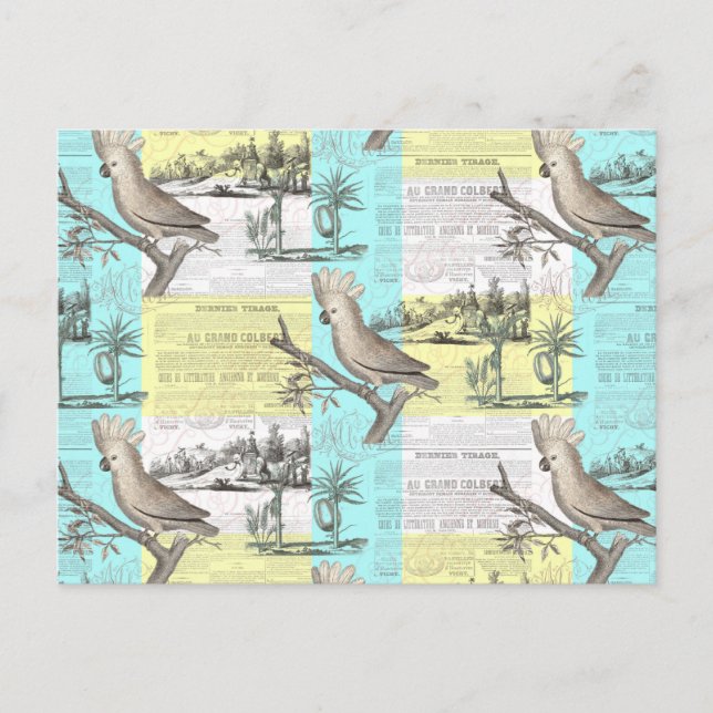 Postal Sueño de Cockatoo tropical (Anverso)