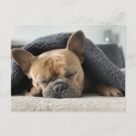 Postal Sueño del sonido del Bulldog francés
