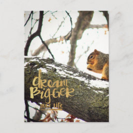 Postal Sueño más grande que la ardilla de la vida