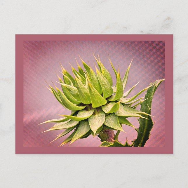 Postal Sueño verde (Anverso)