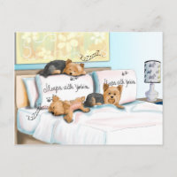 Sueños con Yorkies de Catia Cho