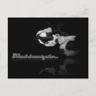 Postal Sueños de Boston Terrier - Postcard