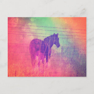 Postal Sueños de caballo