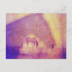 Postal Sueños de caballo por Angelandspot