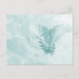 Postal Sueños de mariposa