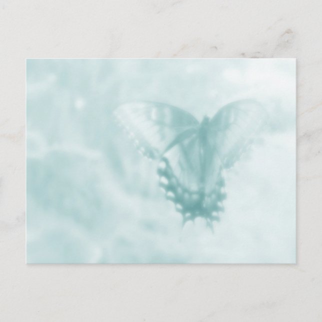 Postal Sueños de mariposa (Anverso)