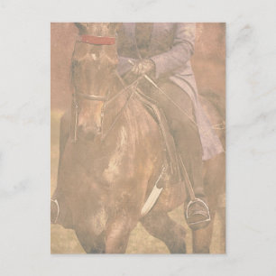 Postal Sueños de Saddlebred