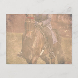 Postal Sueños de Saddlebred