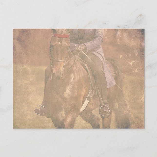 Postal Sueños de Saddlebred (Anverso)