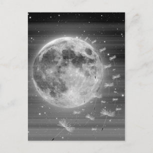 Postal Sueños Que Volan Postcard