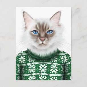 Postal Suéter de gato Kitty