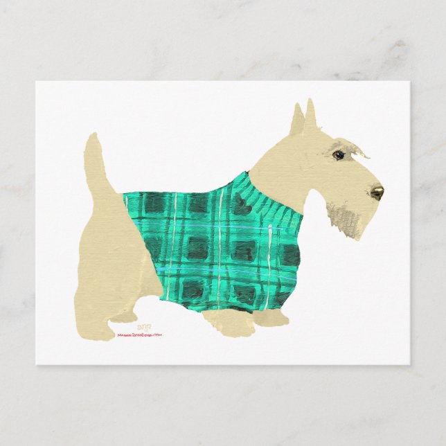 Postal Suéter de Terrier Escocés Wheaten (Anverso)