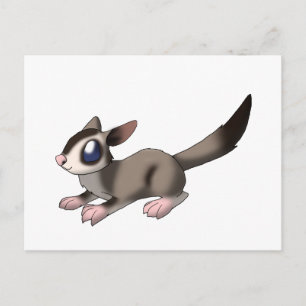 Postal Sugar Glider