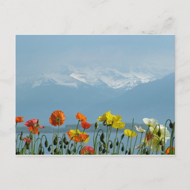 Postal suiza-16800 (Anverso)