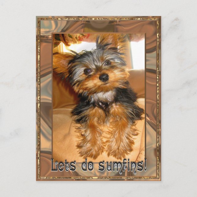 Postal Sumfins Yorkie (Anverso)