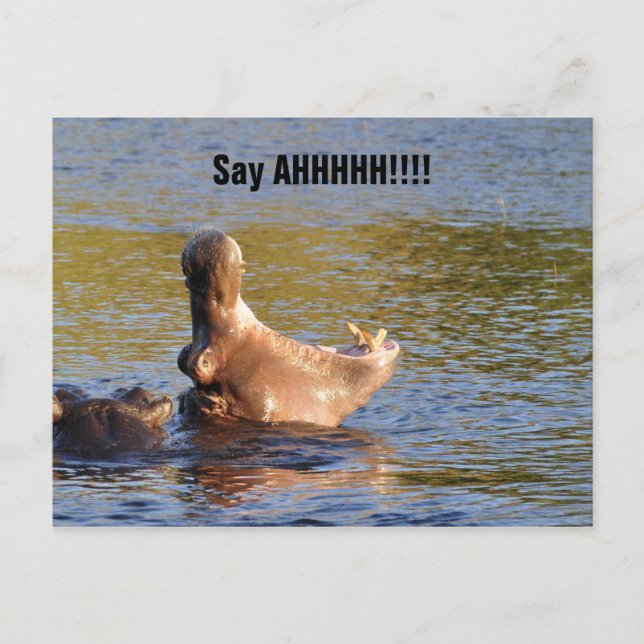 Postal Suministros de negocio Recordatorio de cita Dental (Anverso)