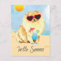 Summer Pomerania