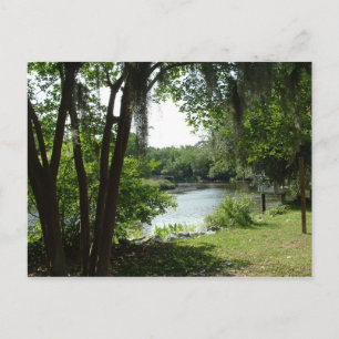 Postal Summerville, SC