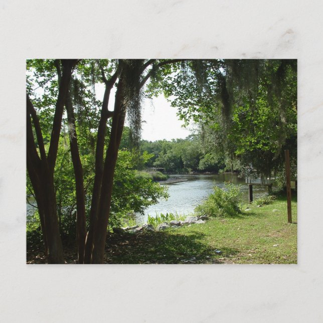 Postal Summerville, SC (Anverso)