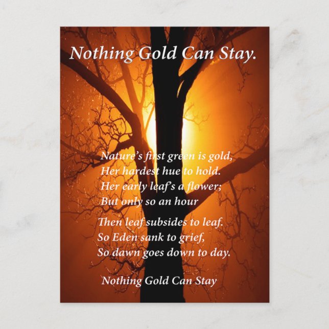 Postal Sun Behind (Anverso)