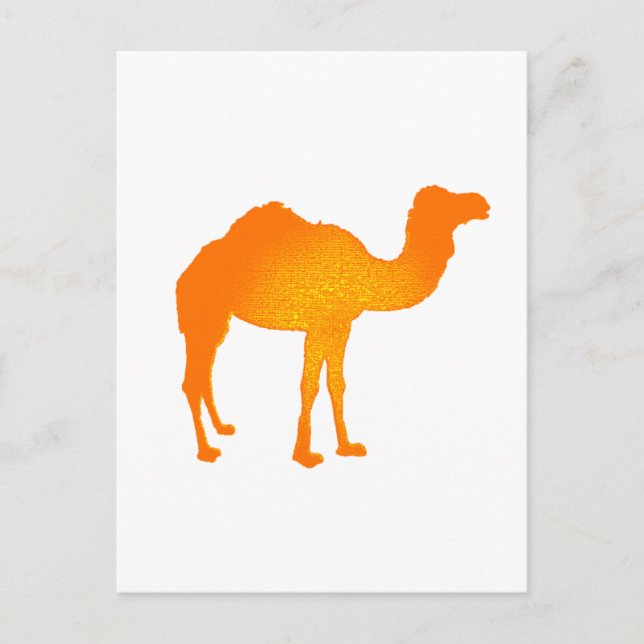 Postal Sun Camel (Anverso)