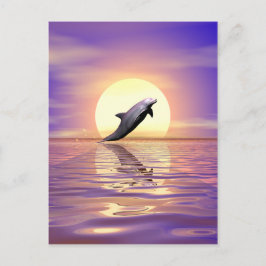 Postal Sun Dolphin