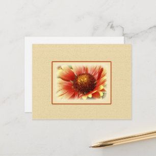 Postal Sun Drenched Gaillardia