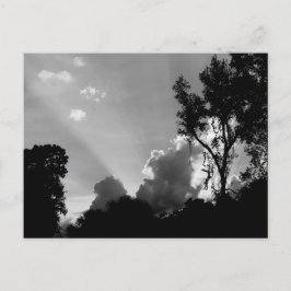 Postal Sun Rays en Sunset Photo B&W