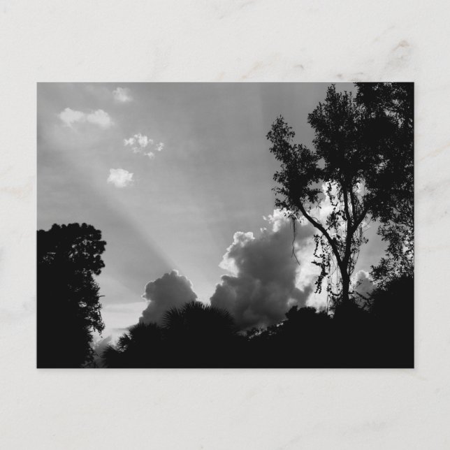 Postal Sun Rays en Sunset Photo B&W (Anverso)