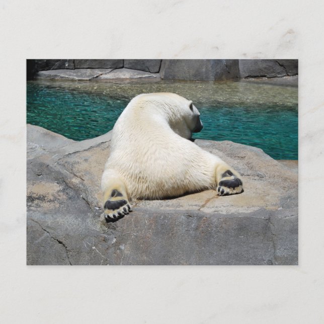 Postal Sunbather (Anverso)