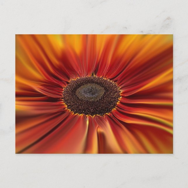 Postal Sunburst (Anverso)