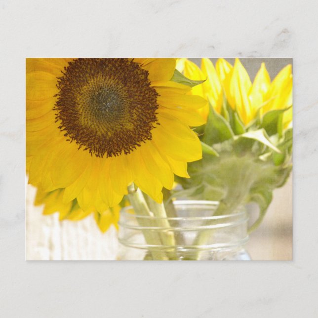 Postal Sunflower (Anverso)