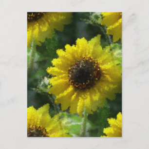 Postal Sunflower