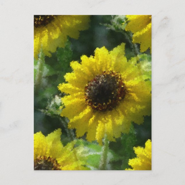 Postal Sunflower (Anverso)