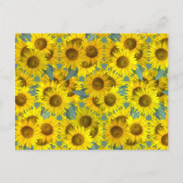 Postal Sunflower