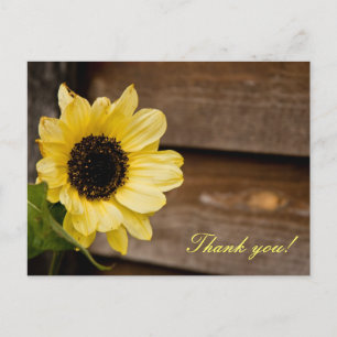 Postal Sunflower gracias