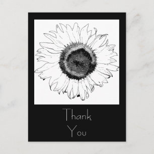 Postal Sunflower negro y blanco gracias