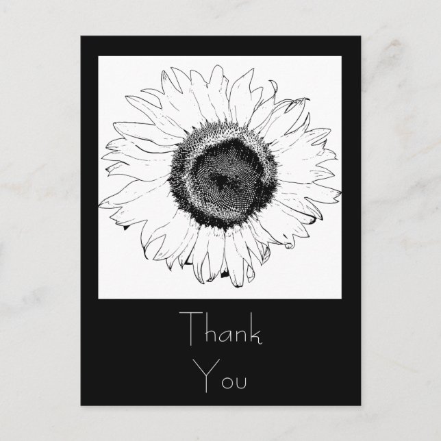 Postal Sunflower negro y blanco gracias (Anverso)