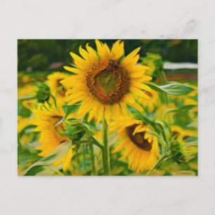 Postal Sunflower pintado