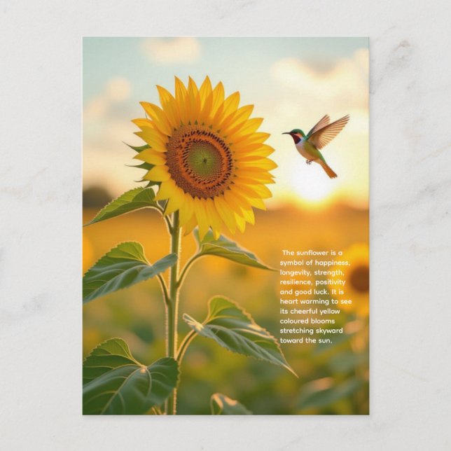 Postal Sunflower Symbolism (Anverso)