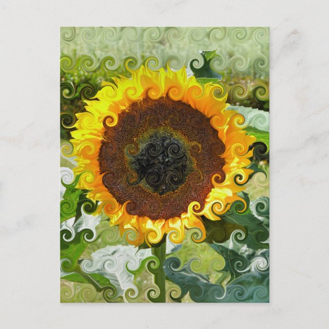 POSTAL SUNFLOWERS (Anverso)