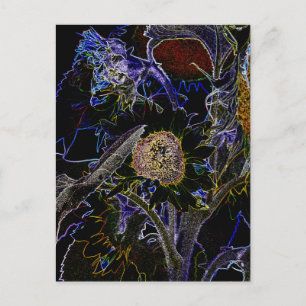 POSTAL SUNFLOWERS