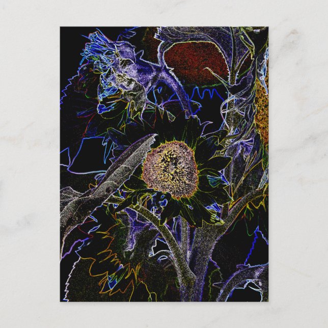 POSTAL SUNFLOWERS (Anverso)
