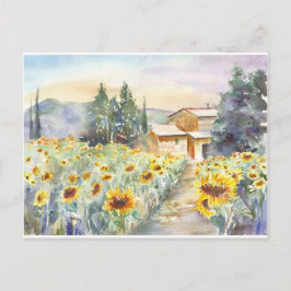Postal Sunflowers En Provenza